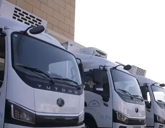 2.21萬億元、同比增長4.0% 我國一季度冷鏈物流需求穩中有升